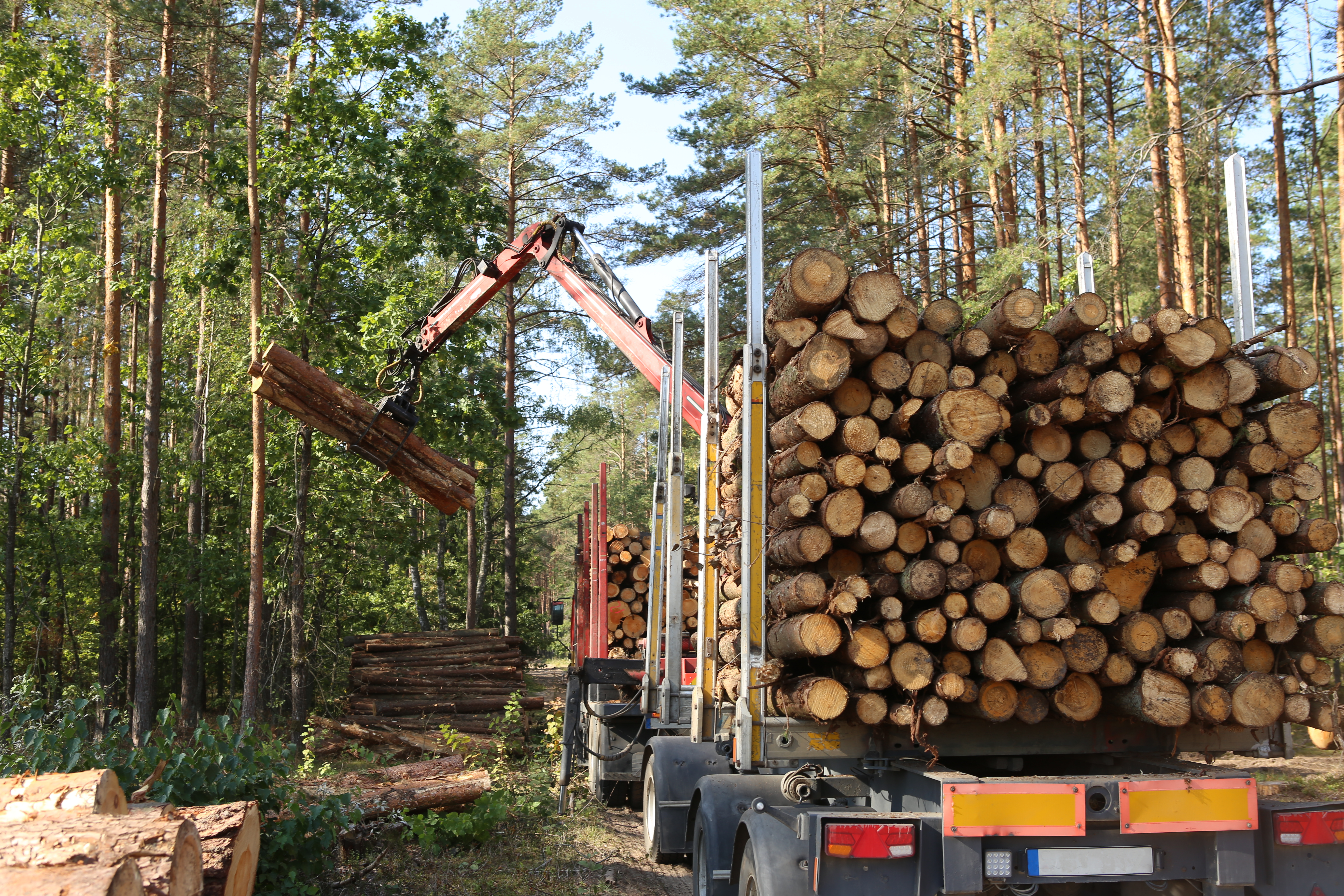 Holzverladung – MW-Forst Portal als Marktplatz für Forst und Holz